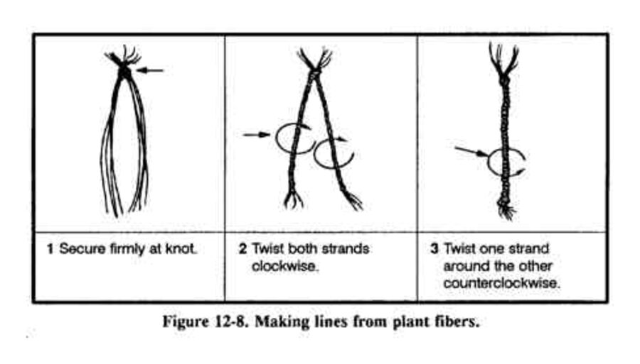 Drawing in three panels of plant fibers tied at a knot, twisted, then twisted around each other