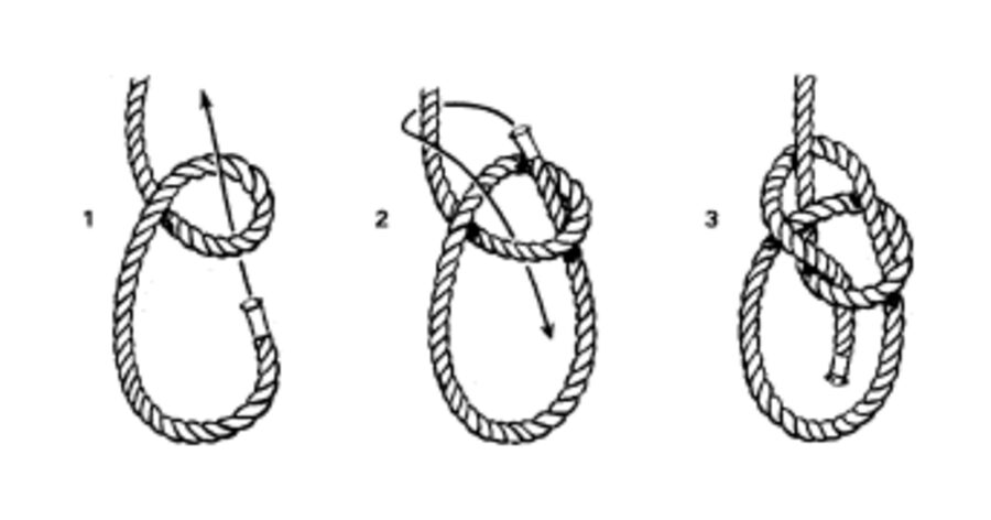 Drawing of a bowline in three stages, the end going up through the loop, around and back down