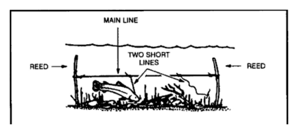 Drawing of a stakeout line strung between two reeds under water