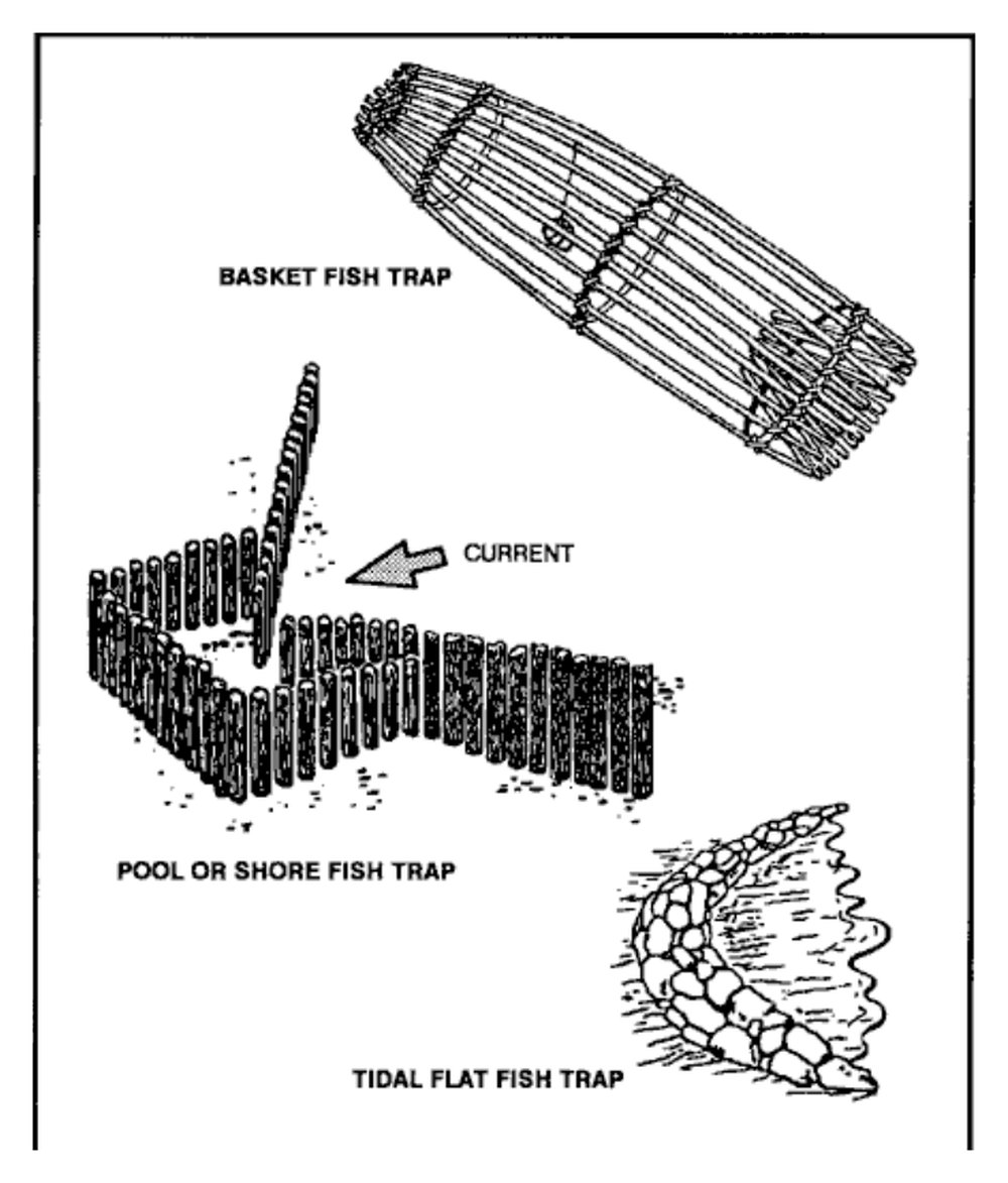 Drawings of a basket fish trap, a pool trap and a tidal stone trap