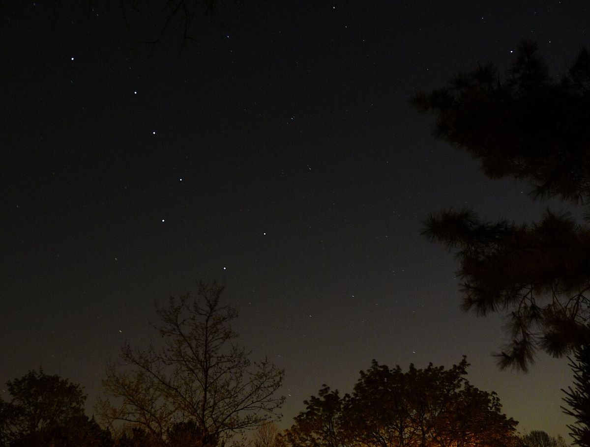 The seven stars of the Big Dipper above trees with the North Star higher in the sky