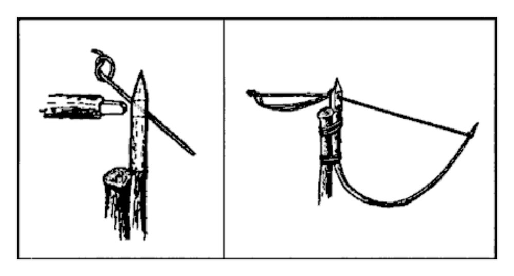 Drawing of an Ojibwa bird pole perch and noose