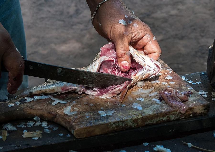 Cutting open and cleaning a fish on a wooden board