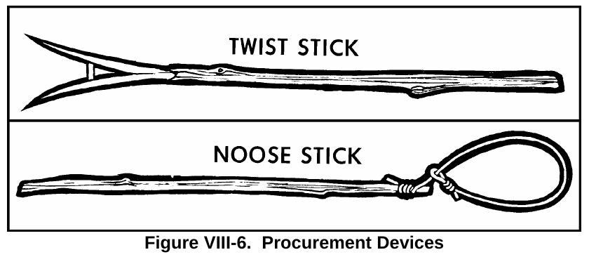 Drawing of a twist stick (a long forked stick) and a noose stick (a pole with a wire loop)