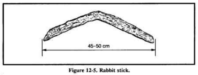 Drawing of a bent, flat throwing stick about 45 to 50 cm long