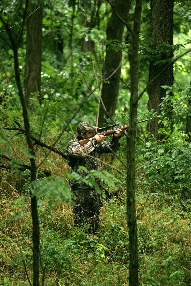 A hunter in the woods aims a rifle up into the trees at a squirrel