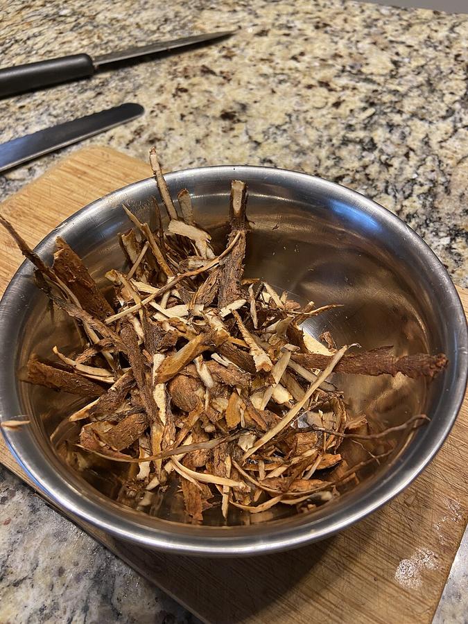 Peeled sassafras root bark ready for boiling